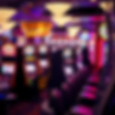 Diverse slot machines in a Florida gaming hall